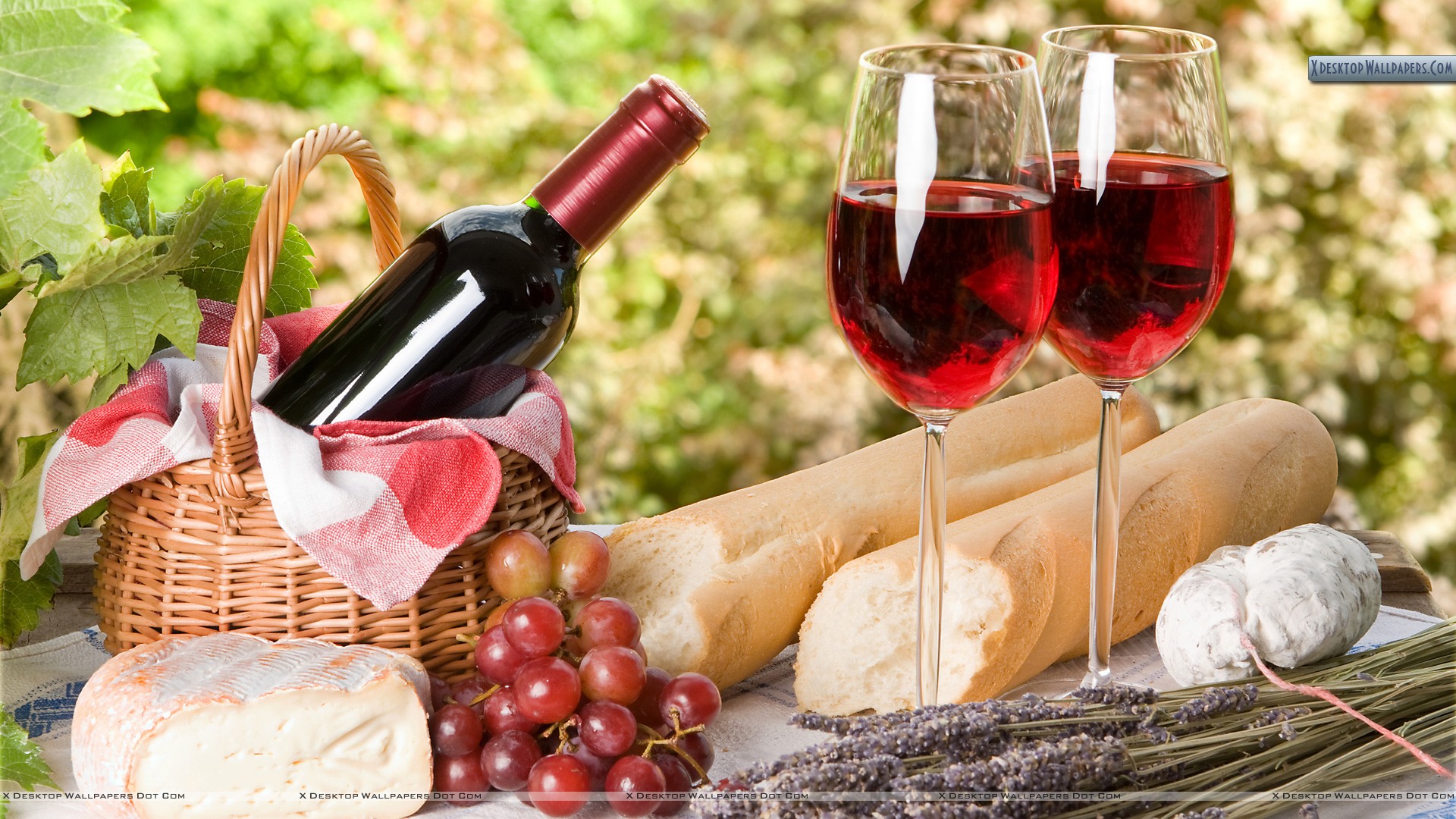 the role of red wine in medicine