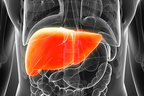 Liver detoxification for weight loss